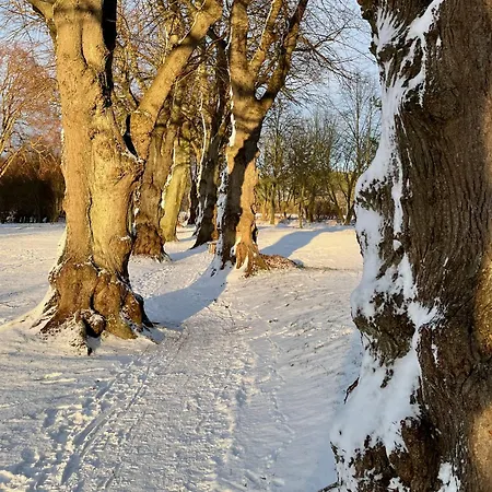 Haus Direkt Am See, 50m Zum Strand, Mit Garten & Kamin Warin