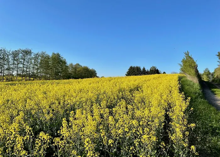 Haus Direkt Am See, 50m Zum Strand, Mit Garten & Kamin * Warin