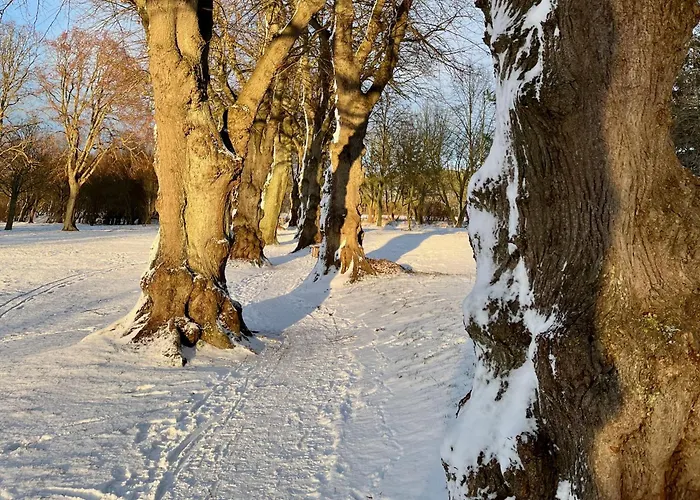 Haus Direkt Am See, 50m Zum Strand, Mit Garten & Kamin Warin